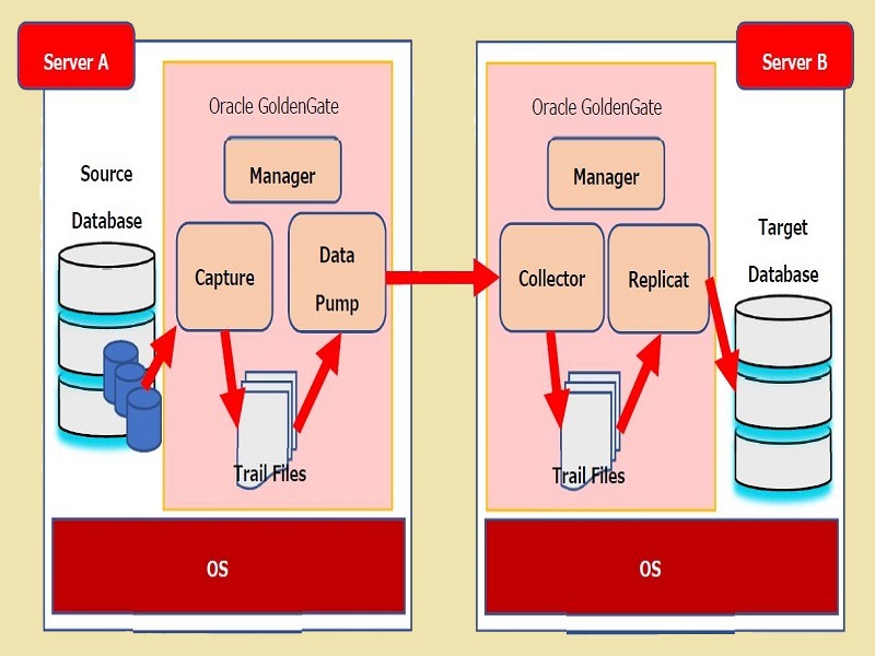 Creating a GoldenGate Exception Handler to trap and log Oracle